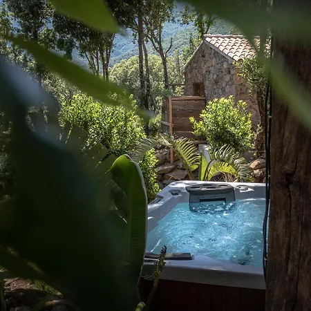 Maison d'hôtes La Pause Chisa