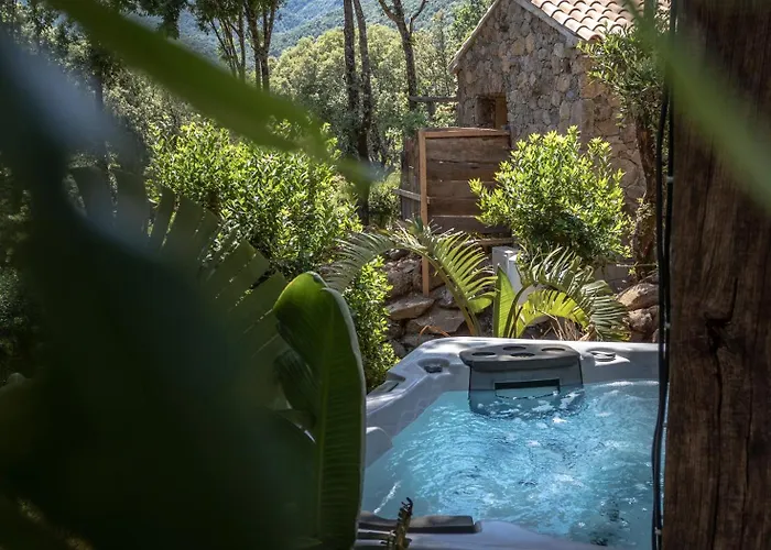 Maison d'hôtes La Pause Chisa